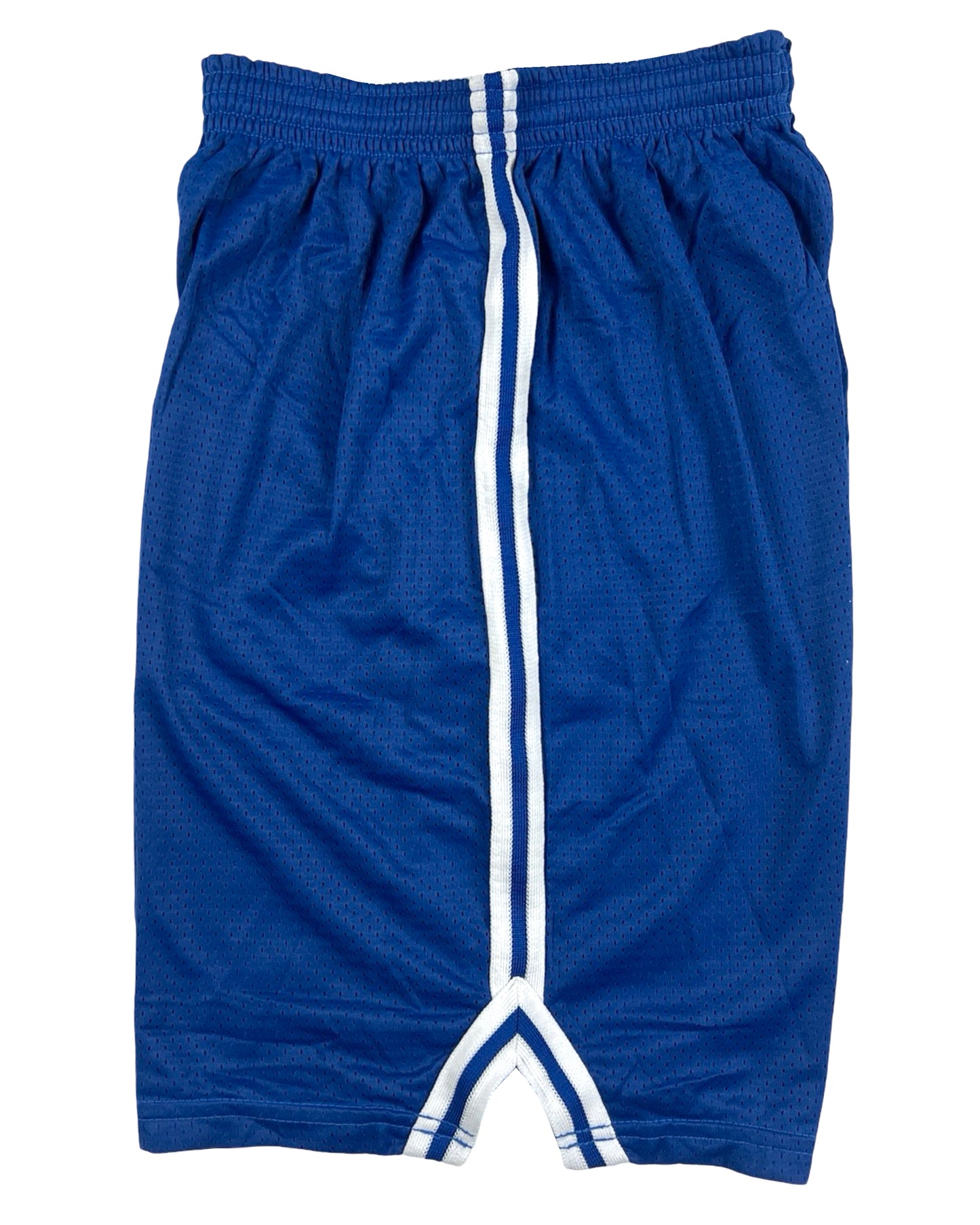 1990’s USA Mase Eagle USA Blue Mesh Shorts